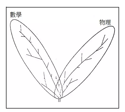 杨振宁谈物理与数学：“猜”与“证”的对生树叶？
