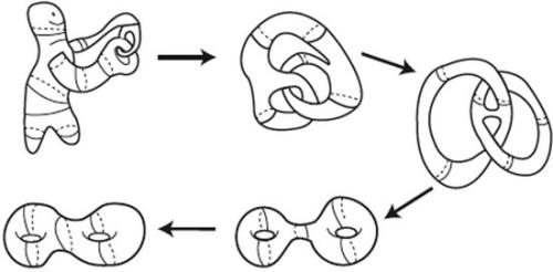 不量尺寸的几何学——拓扑（四）