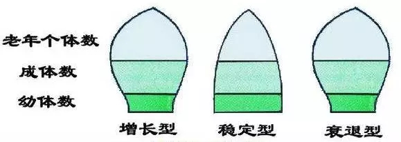 8.webp.jpg