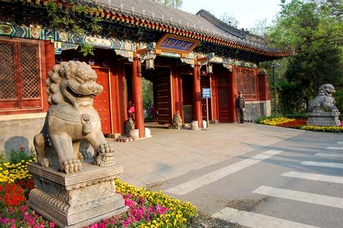 近现代中国数学的崛起与发展：道路坎坷！历经5代数学家的努力