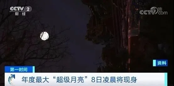 7.webp