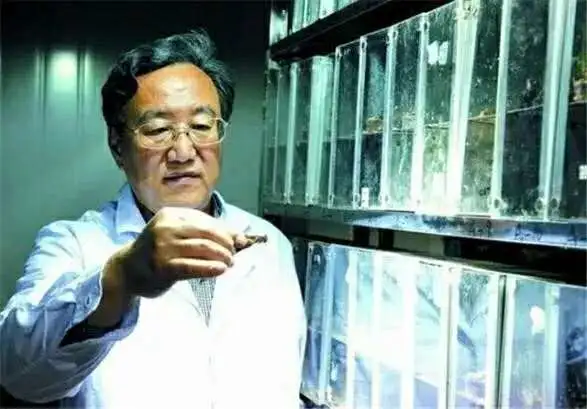 数学周报