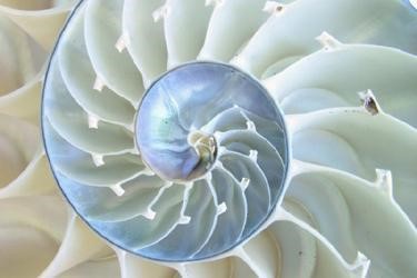 数学强国系列|意大利数学发展史