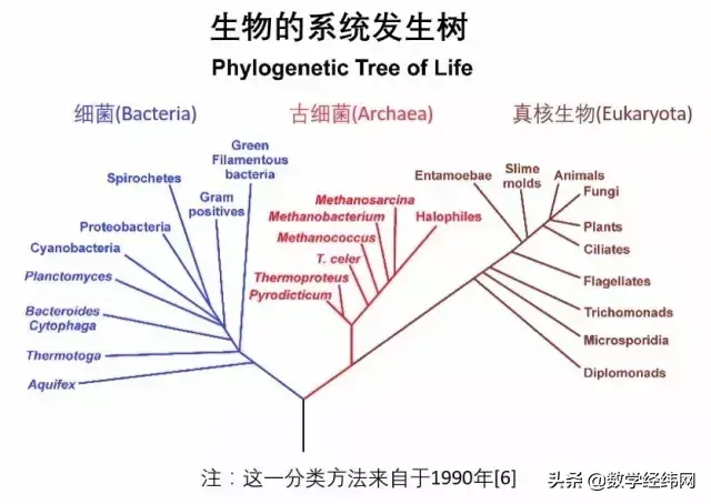 众人皆知的未知数x，但它背后的轶闻趣事你不一定知道！