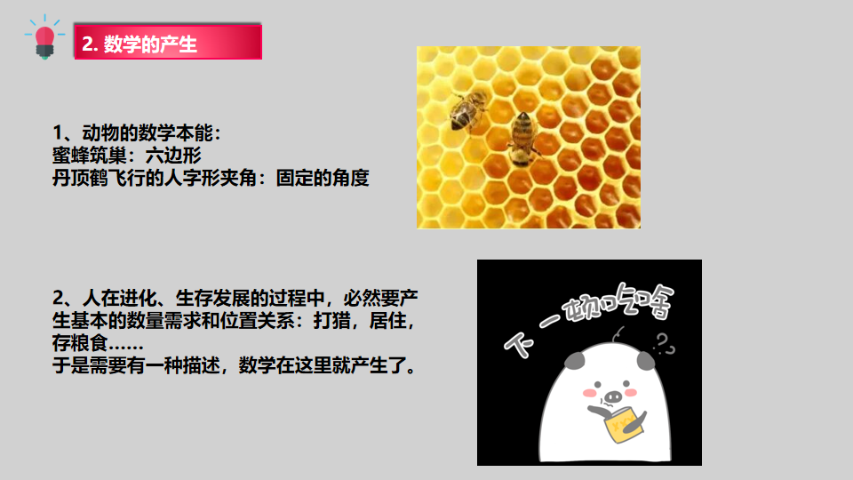 数学概观