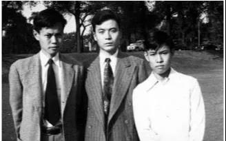 杨振宁先生数理工作漫谈：单位圆定理及其他