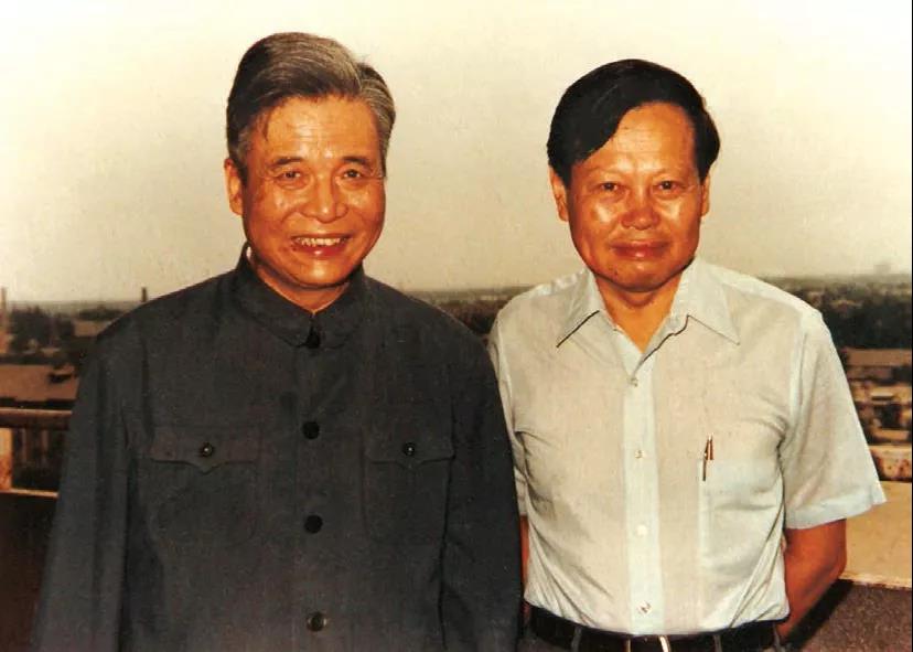 杨振宁先生数理工作漫谈：单位圆定理及其他